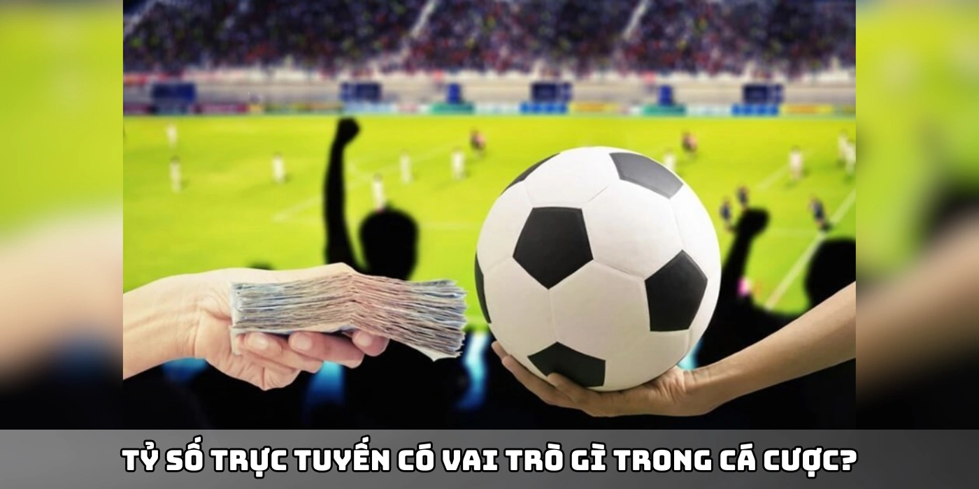Tỷ số trực tuyến có vai trò gì trong cá cược?