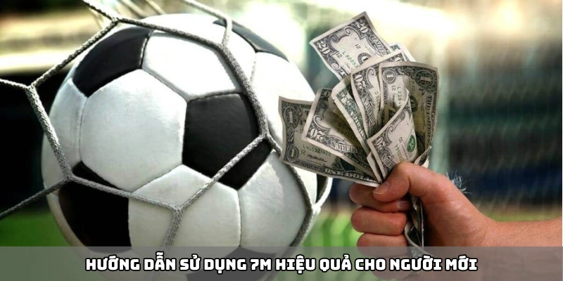 Hướng dẫn sử dụng 7m hiệu quả cho người mới