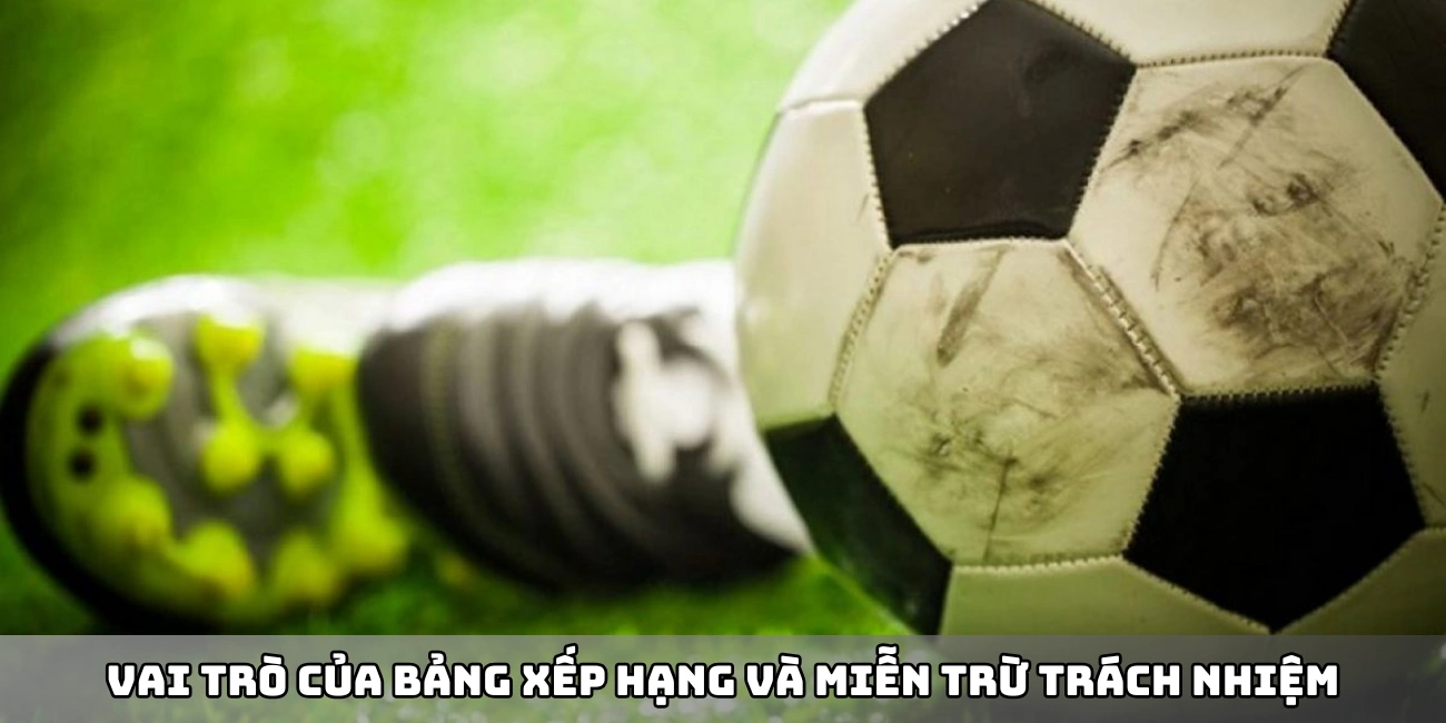 Vai trò của bảng xếp hạng và miễn trừ trách nhiệm
